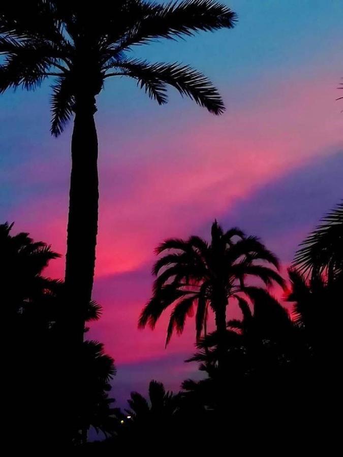 Appartement Cala Merced El Campello Dış mekan fotoğraf